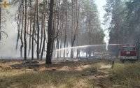 В Луганской области вспыхнул лесной пожар - vlasti.net - Луганская обл. - район Северодонецкий