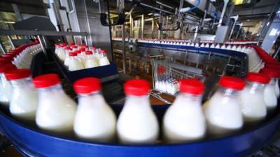 Куда движется белорусский молочный экспорт