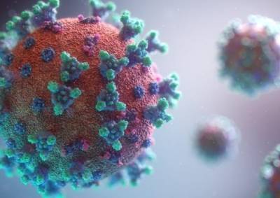 В Японии обнаружили первый случай мутации "дельта" -штаму коронавируса