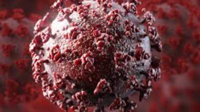 В ЮАР обнаружили новый агрессивный штамм коронавируса с повышенной мутацией