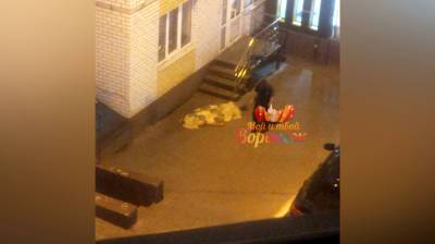 Воронежцы сообщили о трупе во дворе многоэтажки
