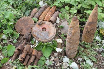 Новгородские саперы с начала года избавились от тысячи боеприпасов