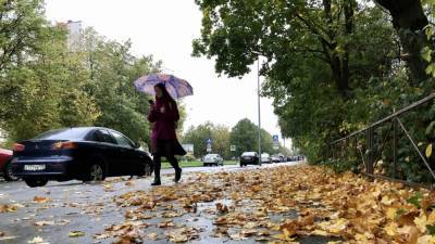 Облачный и дождливый сентябрь ожидается в Петербурге