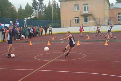 Новую спортплощадку для игры в футбол, баскетбол и хоккей открыли в Волотовском районе