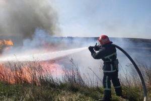 В пяти областях Украины объявили пожарную опасность