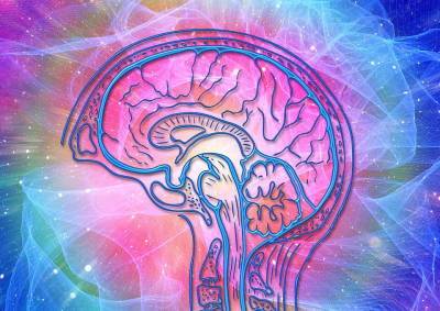 Ученые рассказали удивительные факты о работе человеческого мозга и мира - cursorinfo.co.il