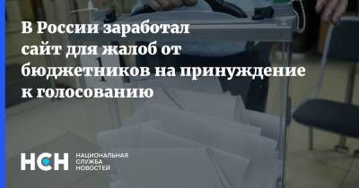 В России заработал сайт для жалоб от бюджетников на принуждение к голосованию