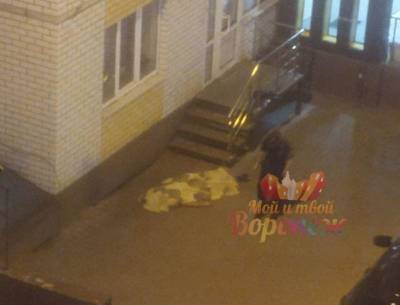Полиция установила личность воронежца погибшего под окнами многоэтажки
