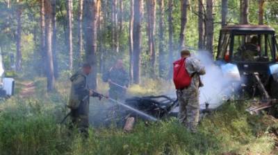 В Пензенской области с начала года потушено 57 лесных пожаров