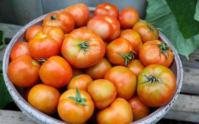 Дмитрий Шубин - Врач рассказал, как правильно приготовить помидоры, чтобы предотвратить рак - grodnonews.by - Белоруссия