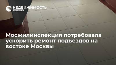 Мосжилинспекция обязала управляющую компанию ускорить затянувшийся ремонт подъездов на востоке Москвы