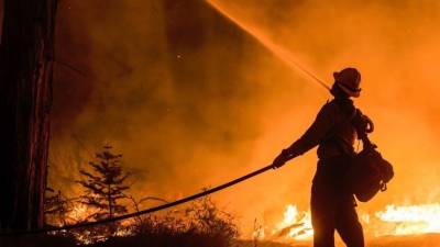 Огонь от лесных пожаров добрался до жилых домов в Калифорнии