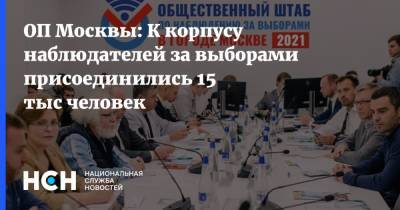 ОП Москвы: К корпусу наблюдателей за выборами присоединились 15 тыс человек
