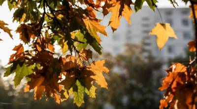 Синоптики дали прогноз погоды на первый день осени