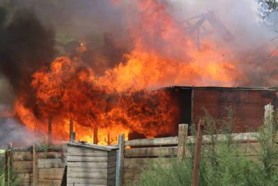 За сутки в Астраханской области зафиксировано 14 пожаров