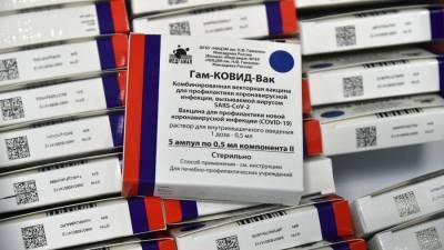 В РФПИ прокомментировали завершение вакцинации «Спутником V» в Словакии