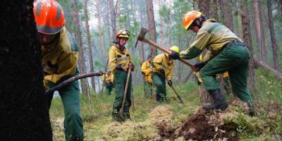"Единая Россия" усиливает систему лесоохраны
