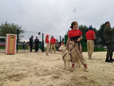 Кросс с собаками прошли юнармейцы на «Техно-дог-биатлоне» – Учительская газета