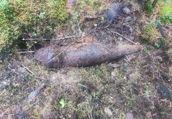 Еще один снаряд времен Второй мировой обнаружили в Бабаевском районе
