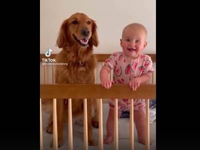 Дружба младенца и собаки растрогала пользователей Сети