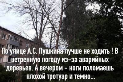 Рязанка пожаловалась на сухие деревья на улице Пушкина