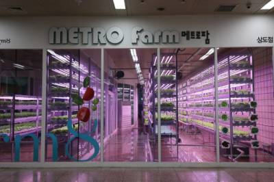 В Сеуле выращивают овощи на станциях метро