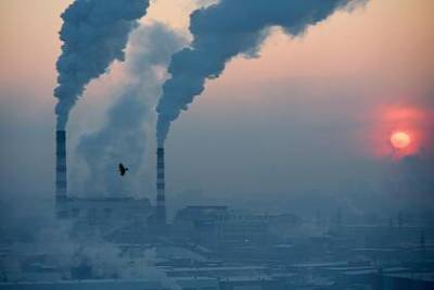 Россия станет главной жертвой налога на углеродные выбросы