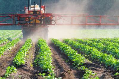 В Государственный каталог пестицидов и агрохимикатов, разрешенных к применению на территории РФ, внесены изменения