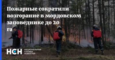 Пожарные сократили возгорание в мордовском заповеднике до 20 га