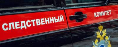 СК Новосибирска начал проверку после того, как упавшая ветка сломала женщине позвоночник