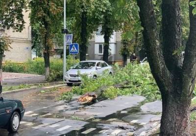 На Донецк обрушился ураган