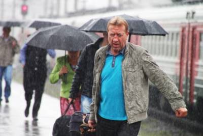 Синоптик предупредил жителей Центральной России о дождливом августе