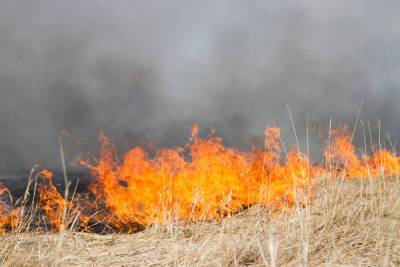 В Омской области напряженная остановка с ландшафтными пожарами остается в двух районах