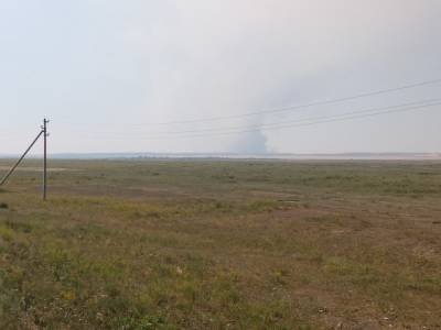 На юге Челябинской области из-за лесного пожара детей эвакуировали из лагеря