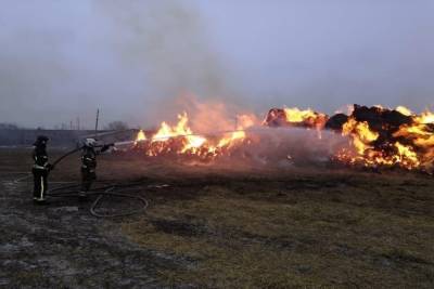В Ивановской области ночью сгорело сено на большой площади