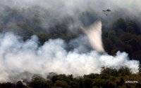 Лесные пожары в Европе влияют на погоду в Украине