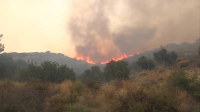Новости на "России 24". Лесные пожары вплотную подошли к электростанции города Кемер в Турции