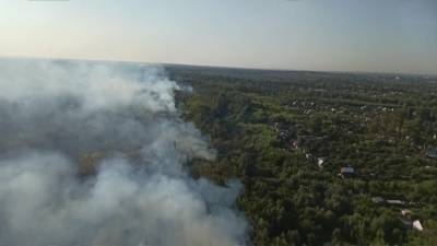 Лесной пожар под Оренбургом добрался до дачного массива