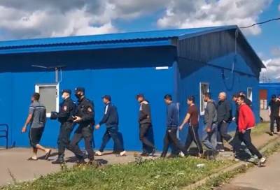 Полицейские провели рейд по поиску нелегальных мигрантов в Кингисеппском районе