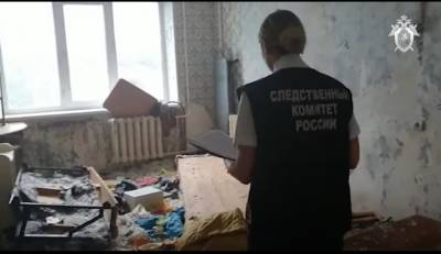 Ульяновским делом «голых малышей в окне» занялся следком РФ и лично Бастрыкин