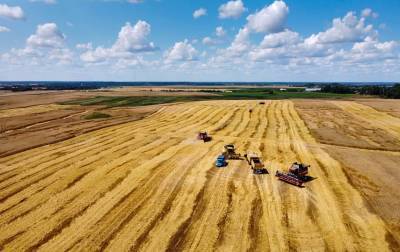 В Беларуси намолочено более 3,7 миллиона тонн зерна