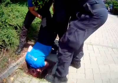 В Чехии полицейские опустили коллегу в канализационный люк, чтобы спасти утят: видео