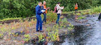 Разлив нефтепродуктов произошел у озера в Карелии (ВИДЕО)
