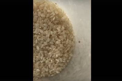 Рис с жуками приобрели нижегородцы в магазине
