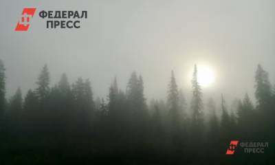 Дым от лесных пожаров в Якутии достиг поселков Красноярского края