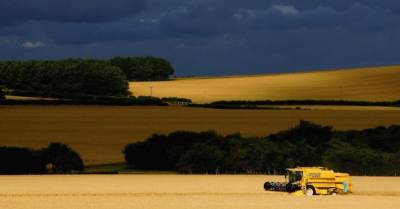 В Украине выдали первый кредит на покупку сельскохозяйственной земли