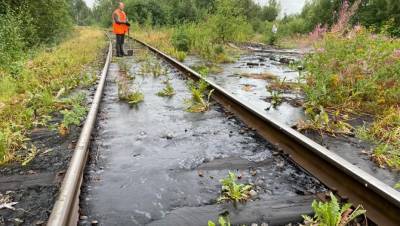 В Карелии у озера Суоярви обнаружили разлив нефтепродуктов