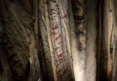 В Испании найдены рисунки неандертальцев, которым 60 тыс. лет