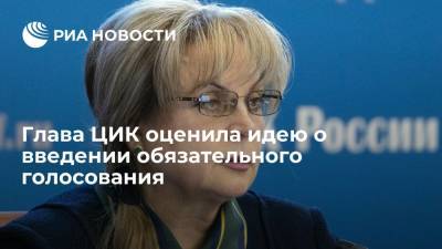 Глава ЦИК Памфилова назвала идею введения обязательного голосования в России бесперспективной