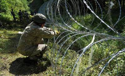 Der Spiegel (Германия): Литва просит у ЕС помощи в охране границы